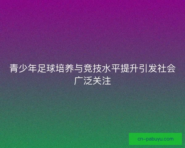 青少年足球培养与竞技水平提升引发社会广泛关注