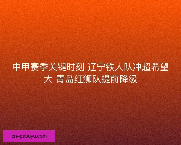 中甲赛季关键时刻 辽宁铁人队冲超希望大 青岛红狮队提前降级